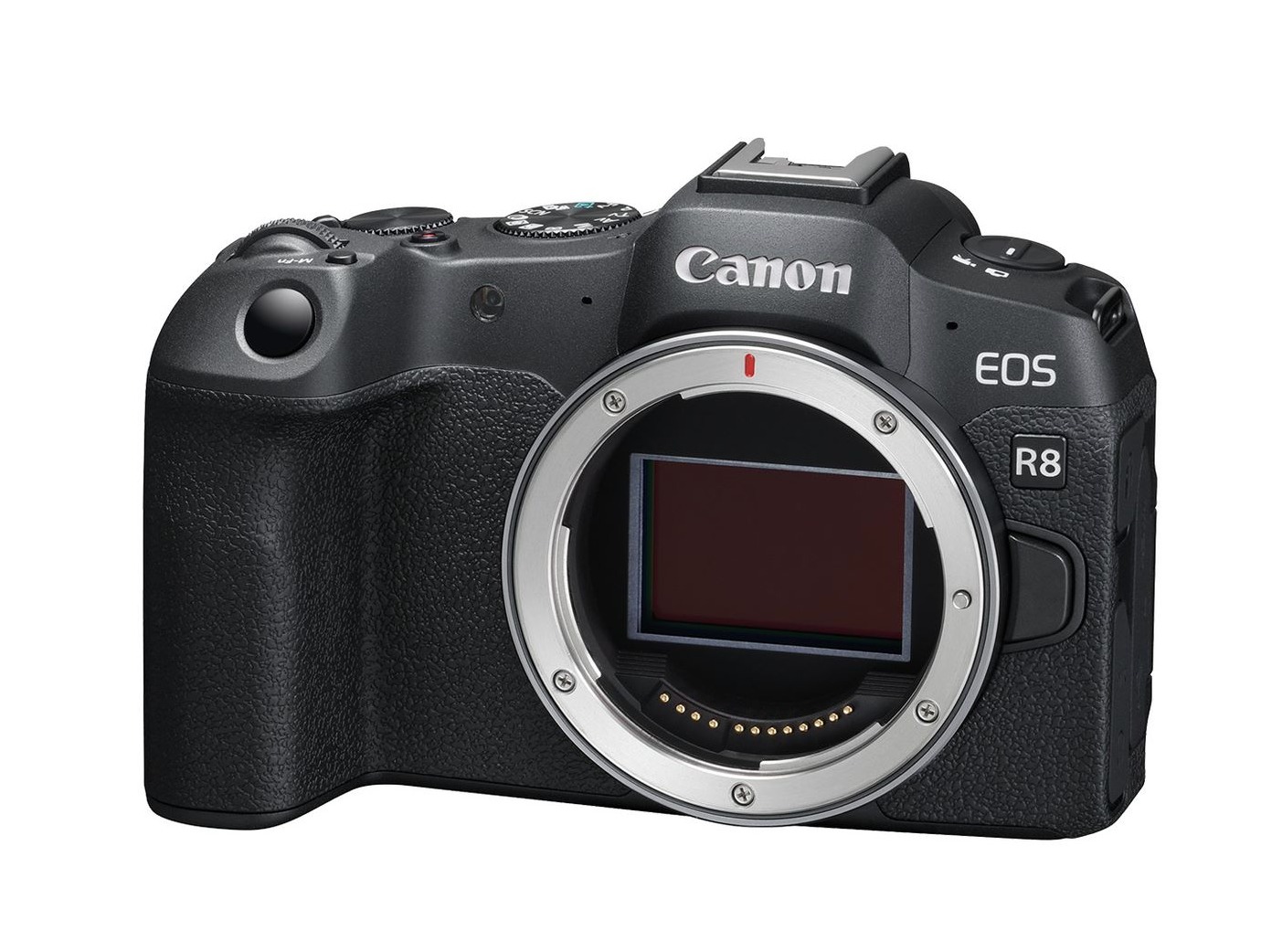 تعمیر دوربین کانن Canon EOS R8
