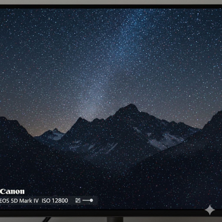 نویز سنسور کانن رفع نویز و خطوط سیاه در دوربین‌های Canon APS-C