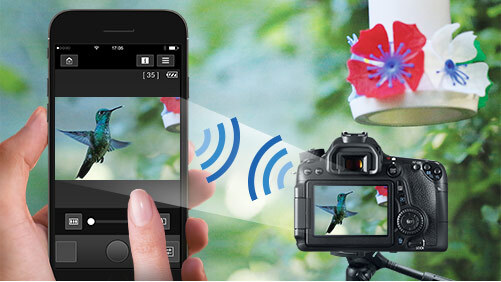 اتصال دوربین کانن به موبایل : راهنمای گام به گام انتقال بیسیم عکس با Camera Connect