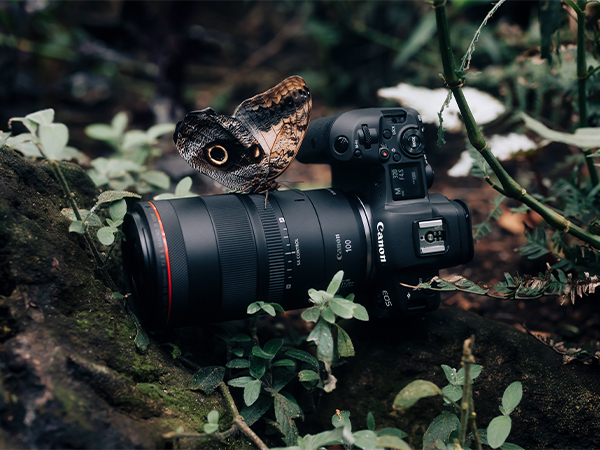تعمیر لنز ماکرو | راهنمای جامع و تخصصی تعمیر و تعویض گروه‌های اپتیکی در Canon Macro 100mm f/2.8L IS USM